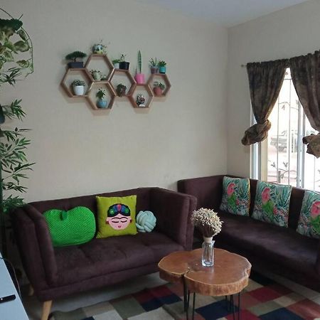 La Casa Del Pinito Daire Sonsonate Dış mekan fotoğraf