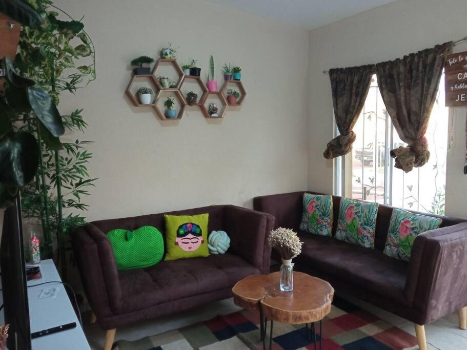 La Casa Del Pinito Daire Sonsonate Dış mekan fotoğraf