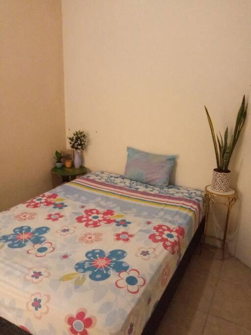 La Casa Del Pinito Daire Sonsonate Dış mekan fotoğraf