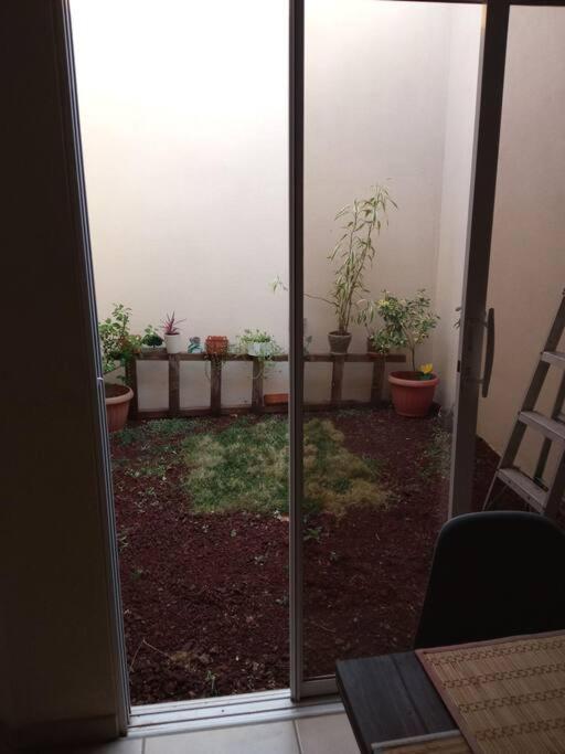 La Casa Del Pinito Daire Sonsonate Dış mekan fotoğraf